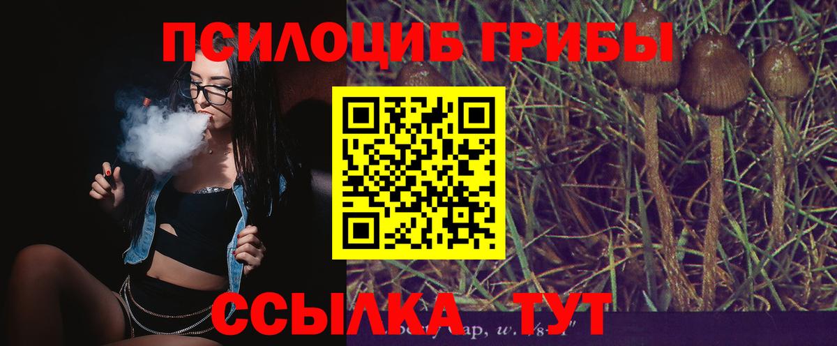 что такое   Галлюциногенные грибы прущие грибы  Вход с VPN  Владикавказ  Псилоцибиновые грибы ЛСД 