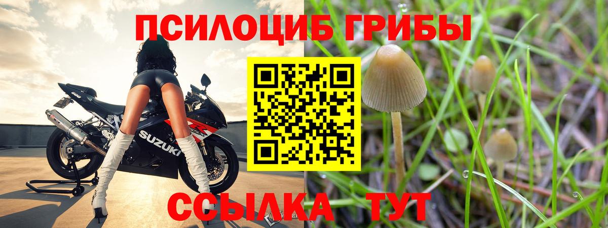 Галлюциногенные грибы прущие грибы Владикавказ
